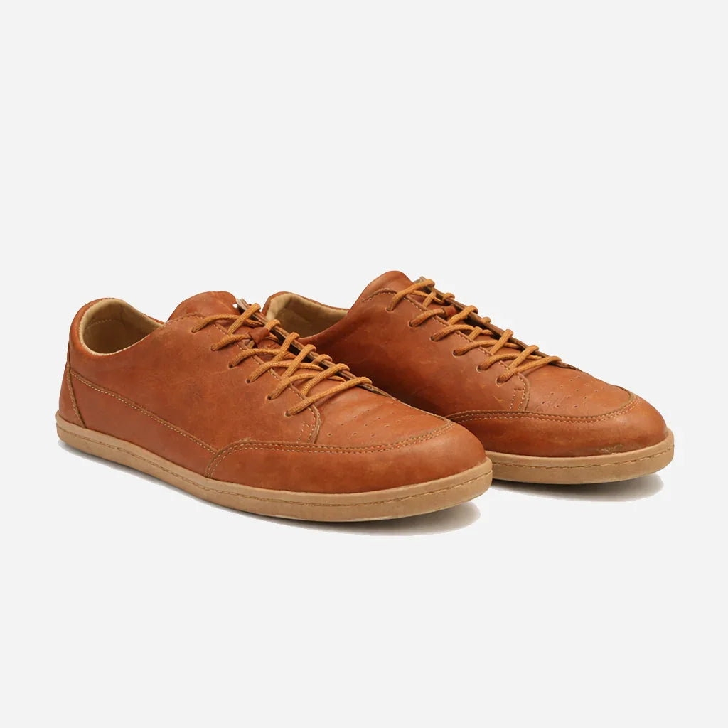 Pair of brown leather sneakers on a white background