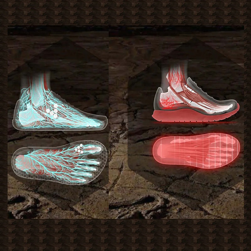 Ankle and foot anatomy with highlighted muscles and a shoe on a textured brown background